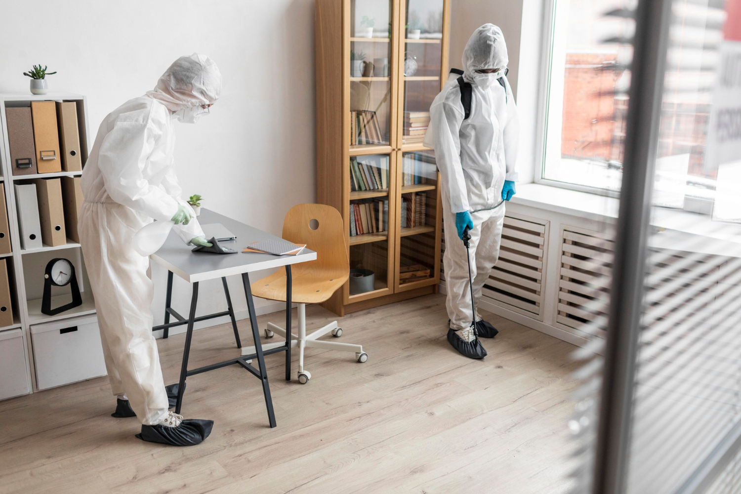 Read more about the article Expert Insights: The Do’s and Don’ts of DIY Mold Remediation